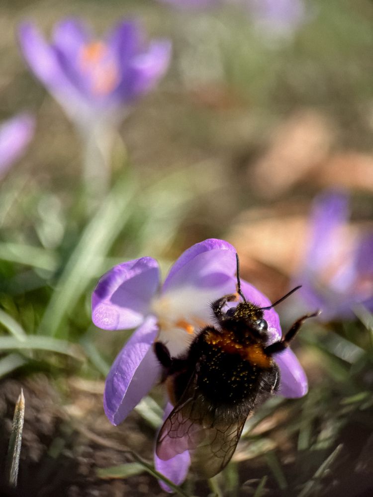 Photograph by Marina En