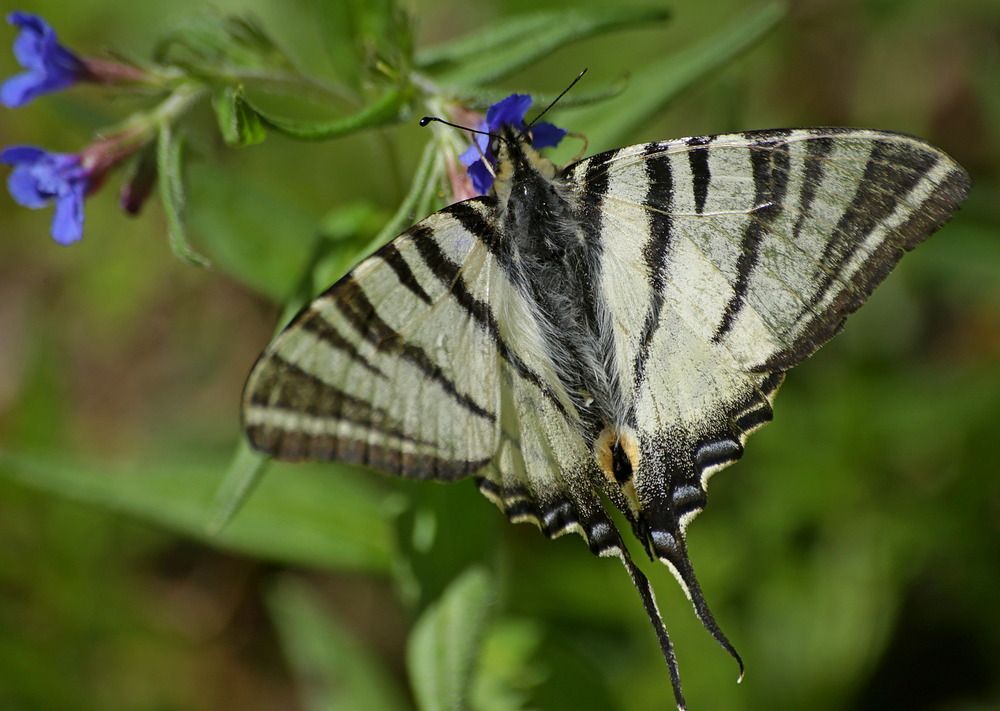 Фотография автора Александр Кожевников