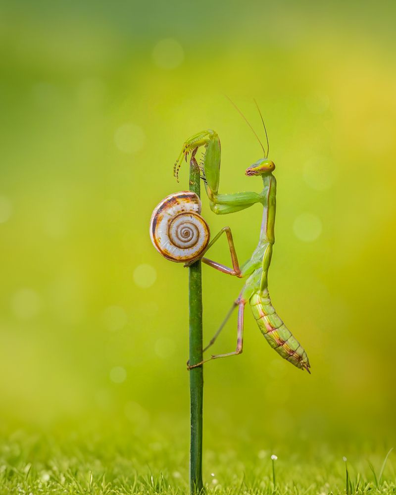 Photograph by Abolfazl Arab