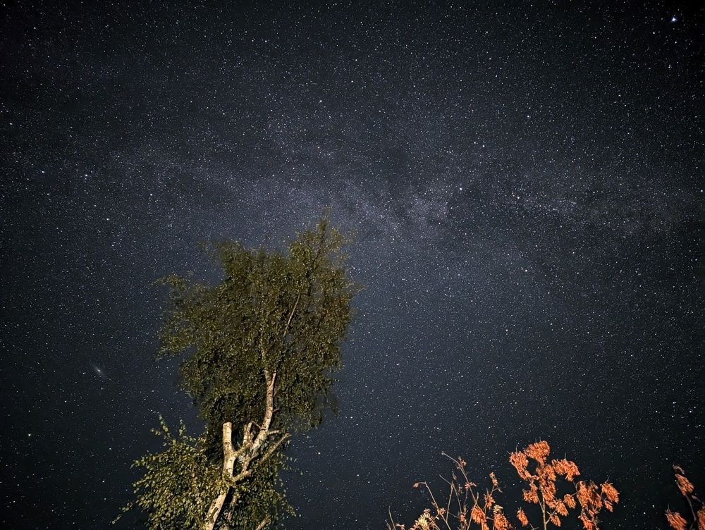 Photograph by Дарья Чистякова