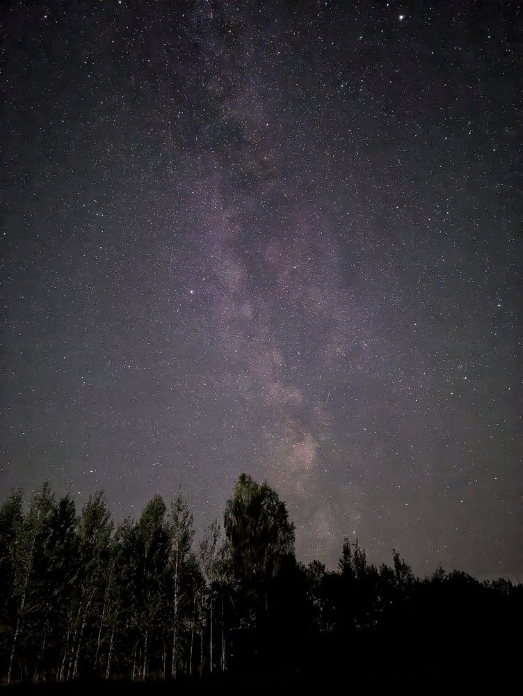 Photograph by Дарья Чистякова