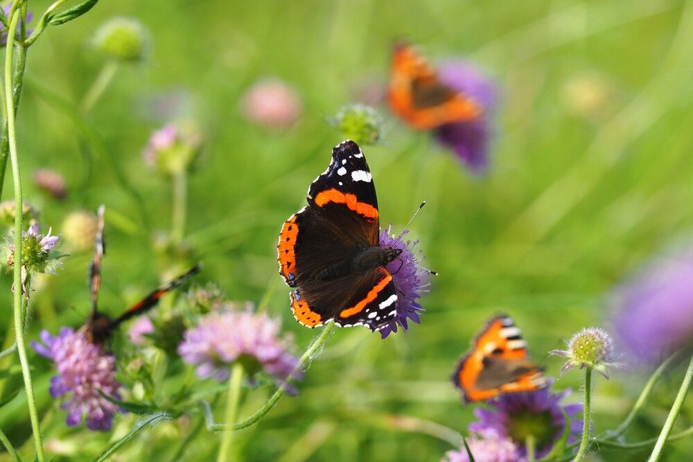 Photograph by Сергей Пушкин