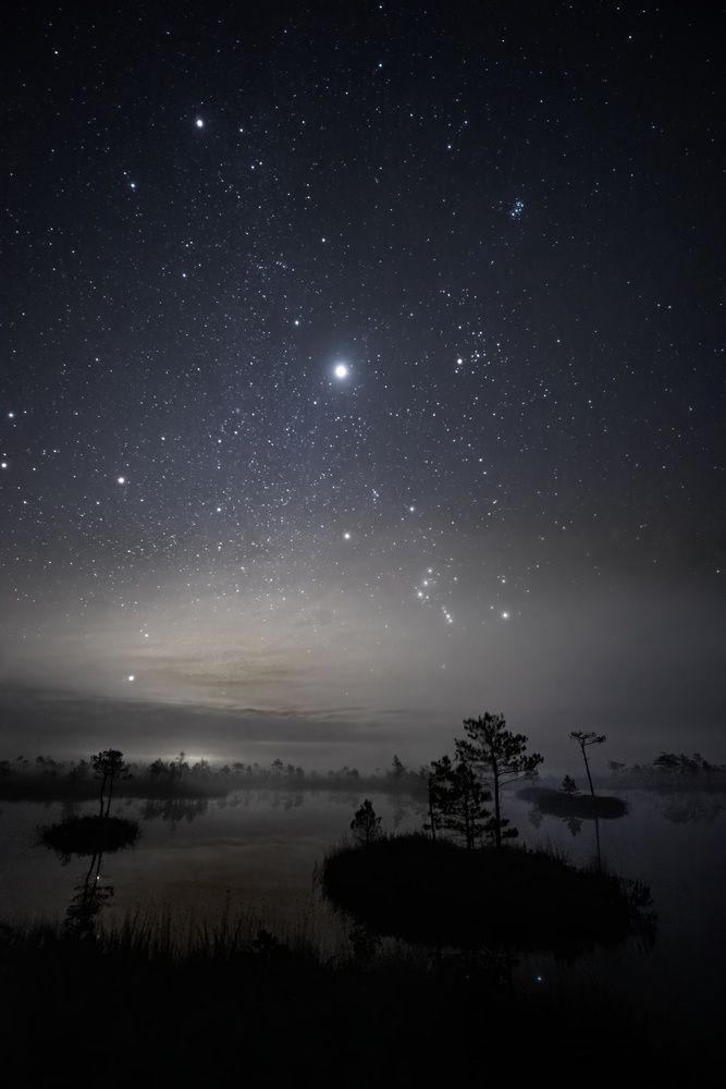 Photograph by Мария Скворцова