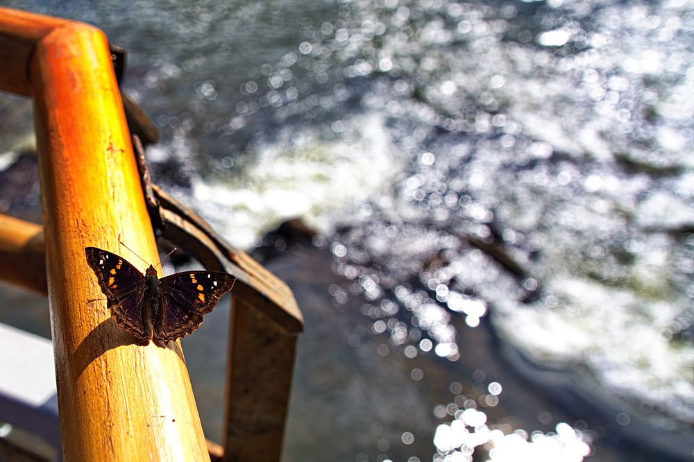 Photograph by Дмитрий Resett