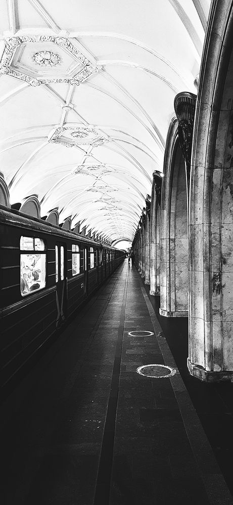 Фотография автора Василиса Новикова