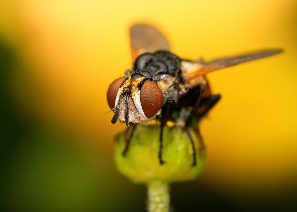 Photograph by Michael Gerhold