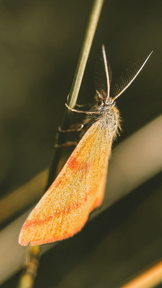 Photograph by Natalya