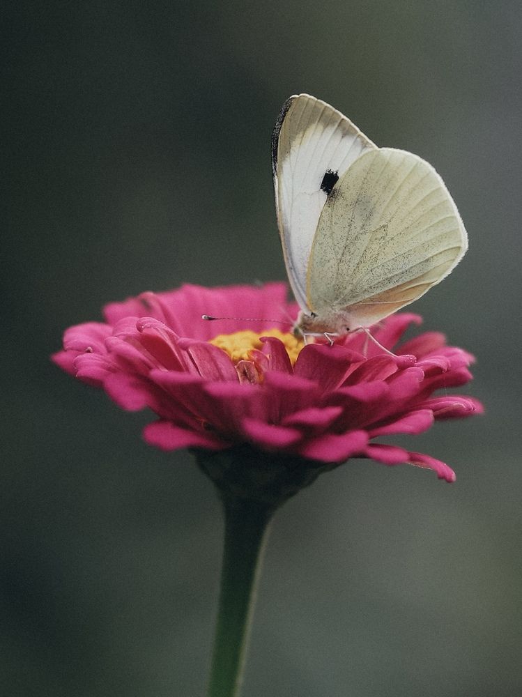 Photograph by Natalya