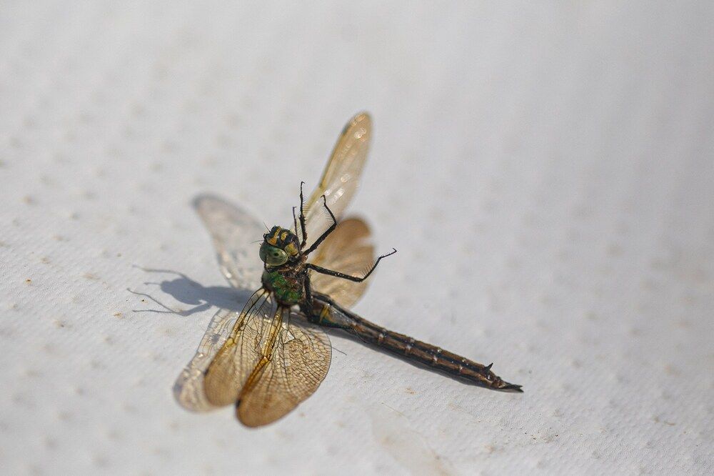 Photograph by Очева Наталья Александровна