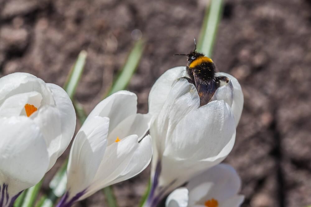Photograph by Очева Наталья Александровна