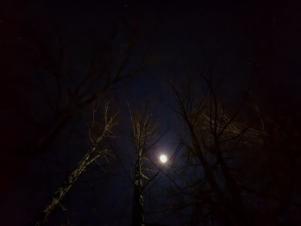 Photograph by Елена Сиушова