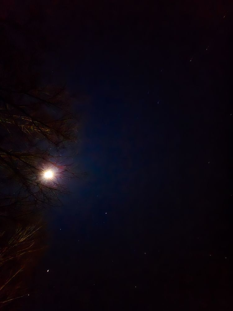 Photograph by Елена Сиушова