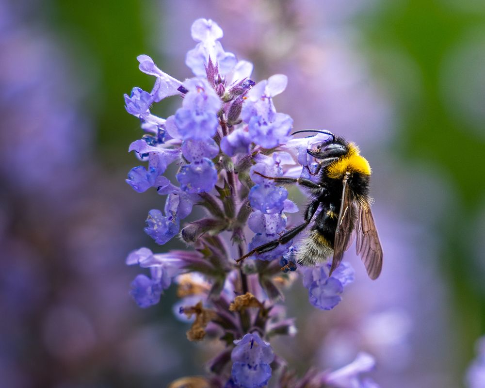 Photograph by Роман Данильчик