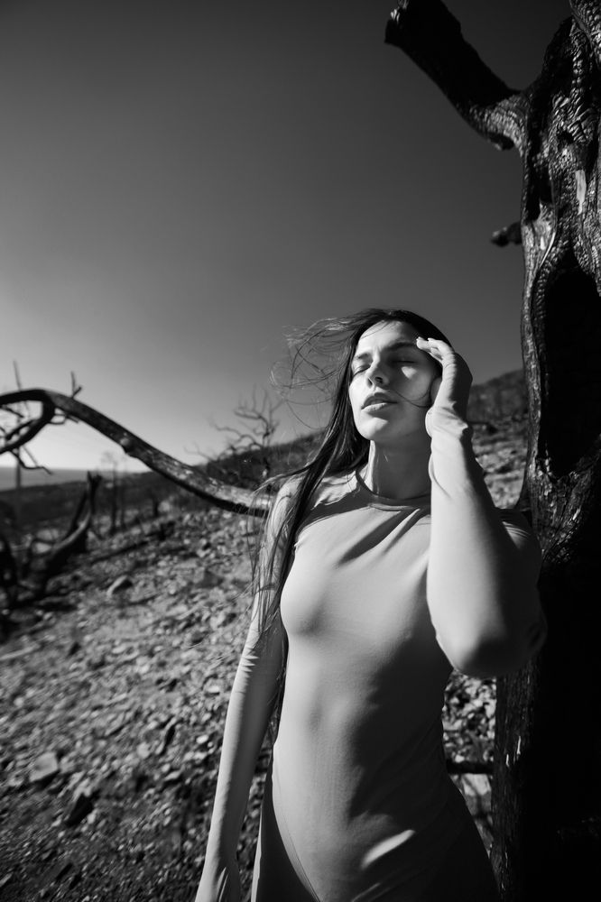 Photograph by Александр Шевешов