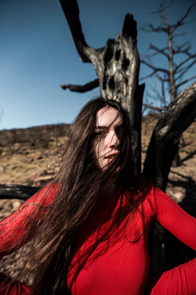 Photograph by Александр Шевешов