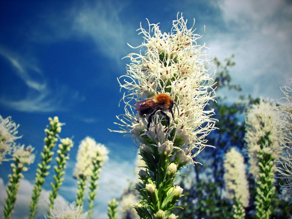 Photograph by Дмитрий Resett