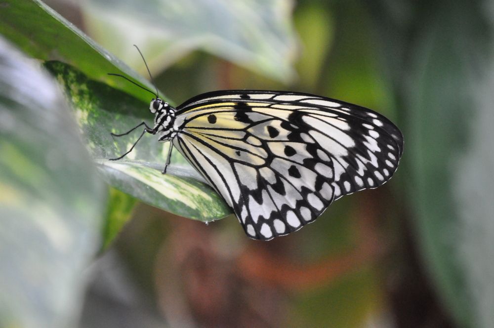 Photograph by Галина Лысых