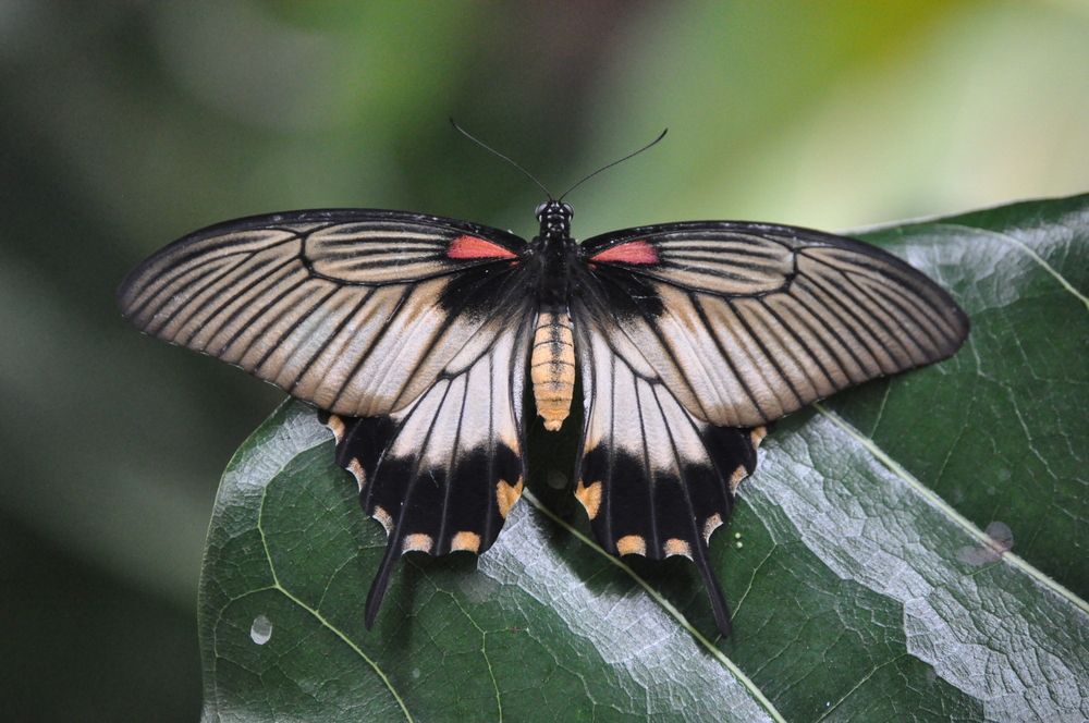 Photograph by Галина Лысых