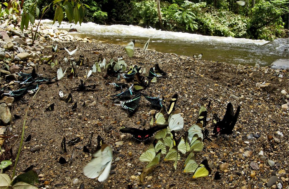 На берегу реки