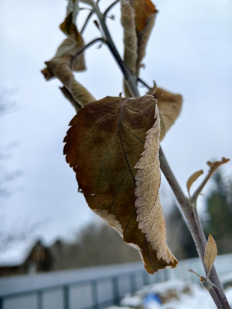 Photograph by Александр Вихарев