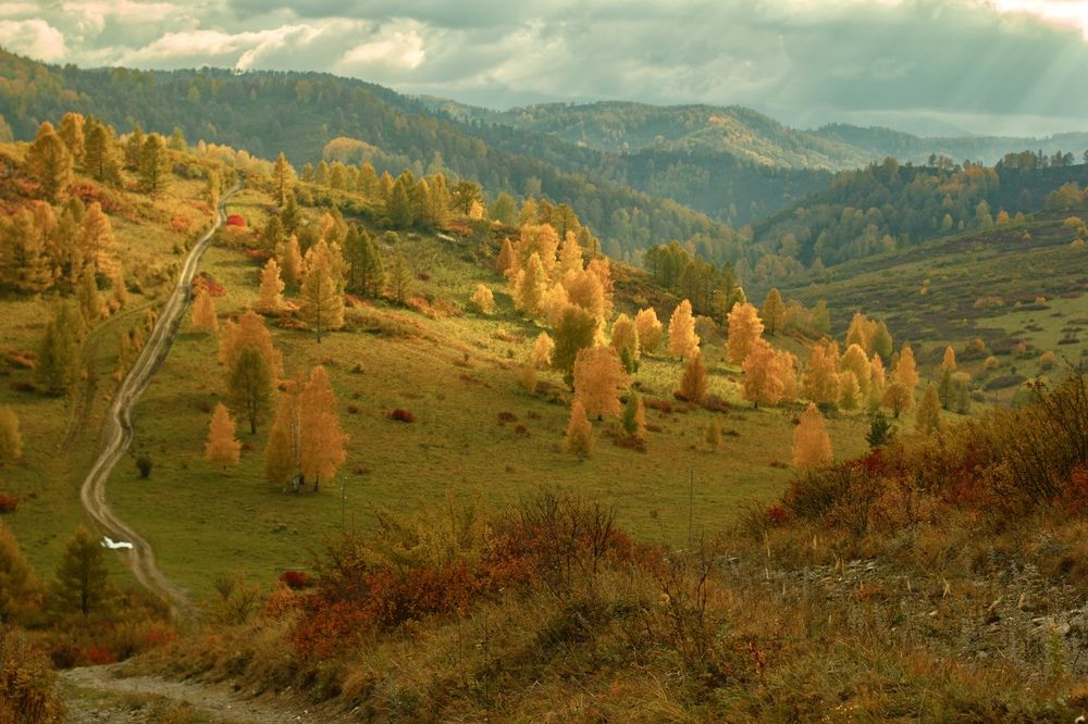 Фотография автора Татьяна Сульженко