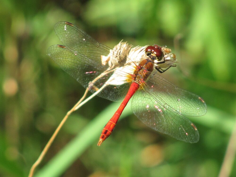 Photograph by Юлия