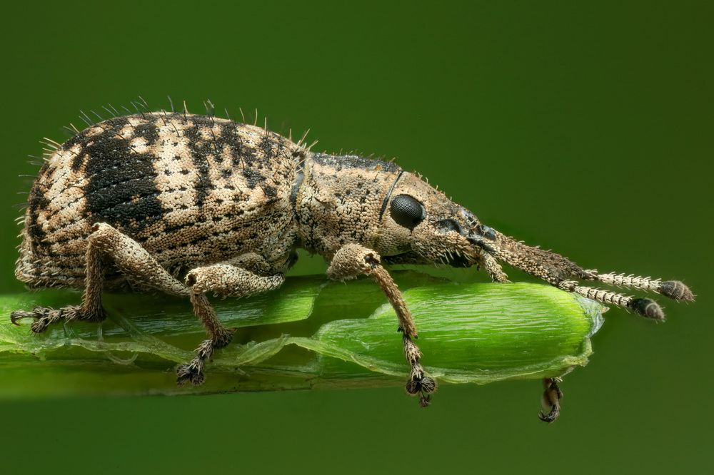 Photograph by Nguyen Van Thanh