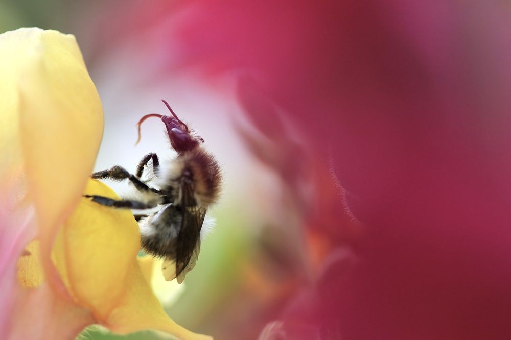 Photograph by Леунина Людмила