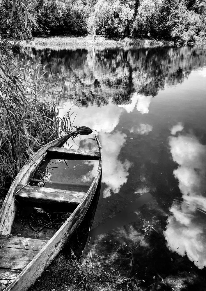 Фотография автора Painterman