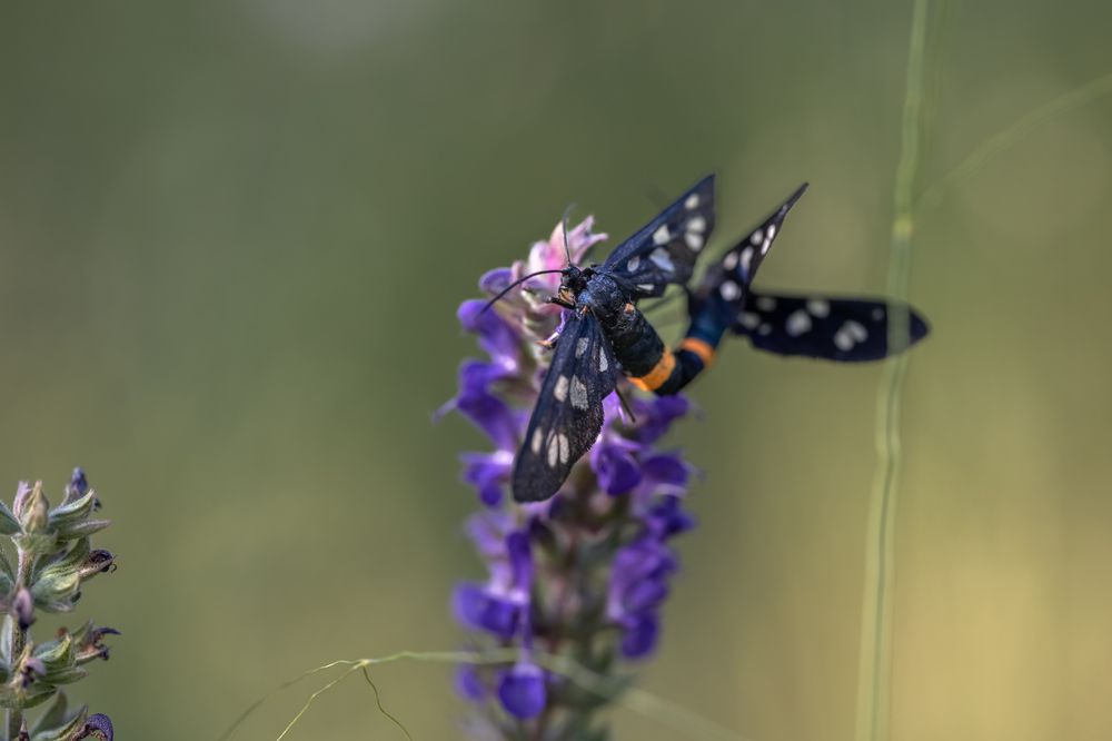 Photograph by Абдул Мигруев