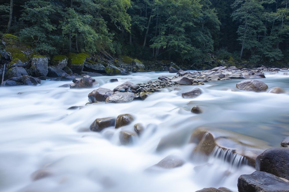 Фотография автора Дмитрий Гривцов