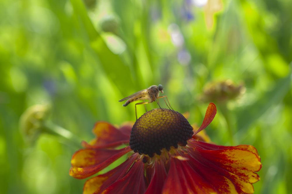 Photograph by Наталья Сергеевна Крылова