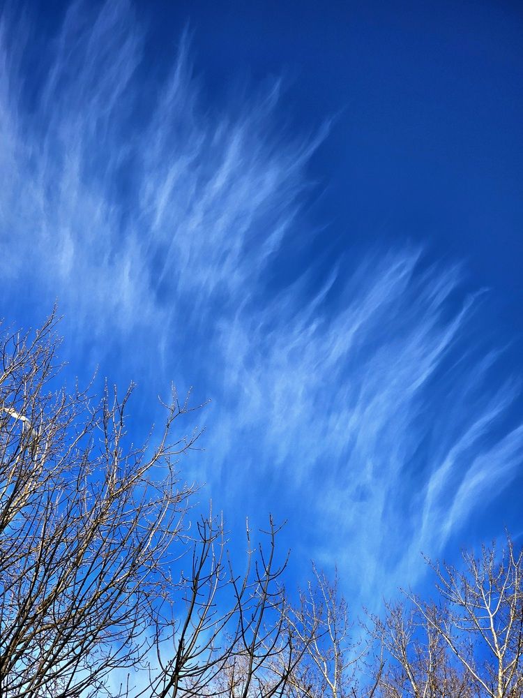 Фотография автора Мария Яковлева