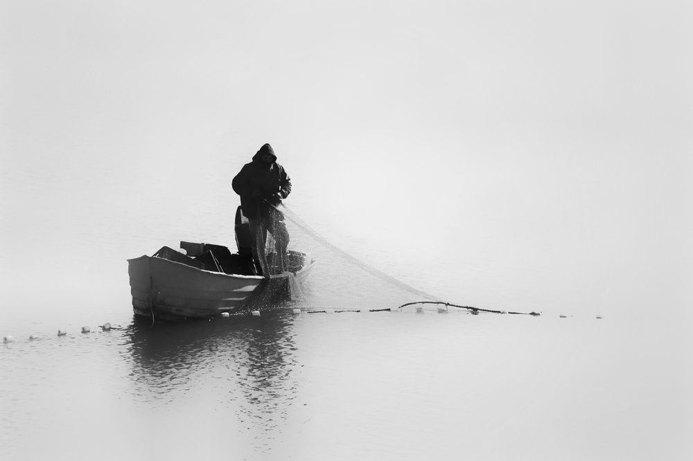 Photograph by Reza shokri