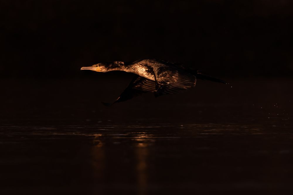 Photograph by Алёна Газукина