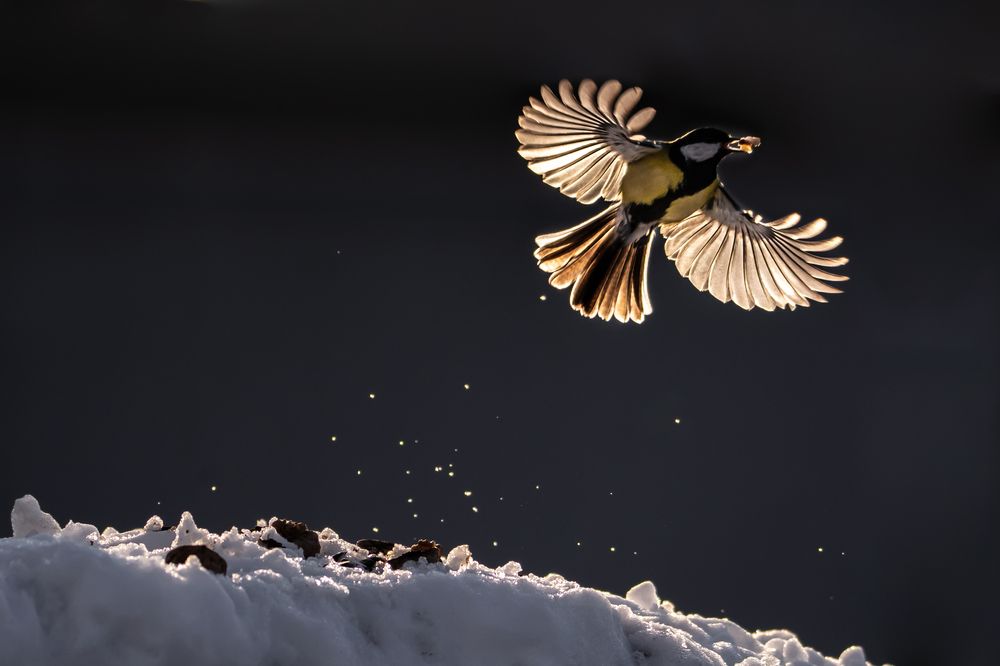 Photograph by Алёна Газукина