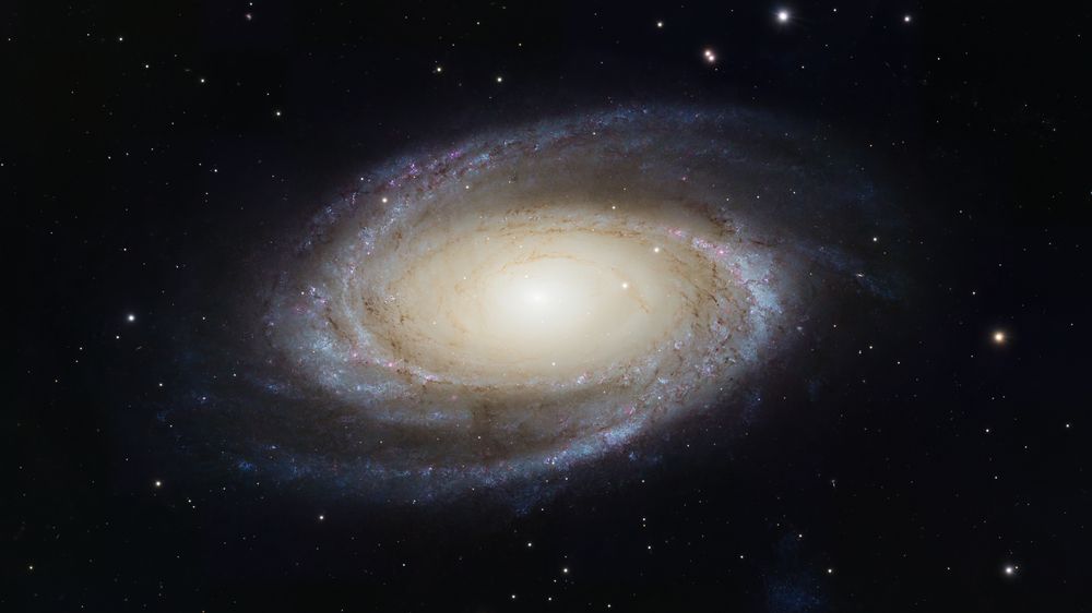 Галактика Боде (M81)