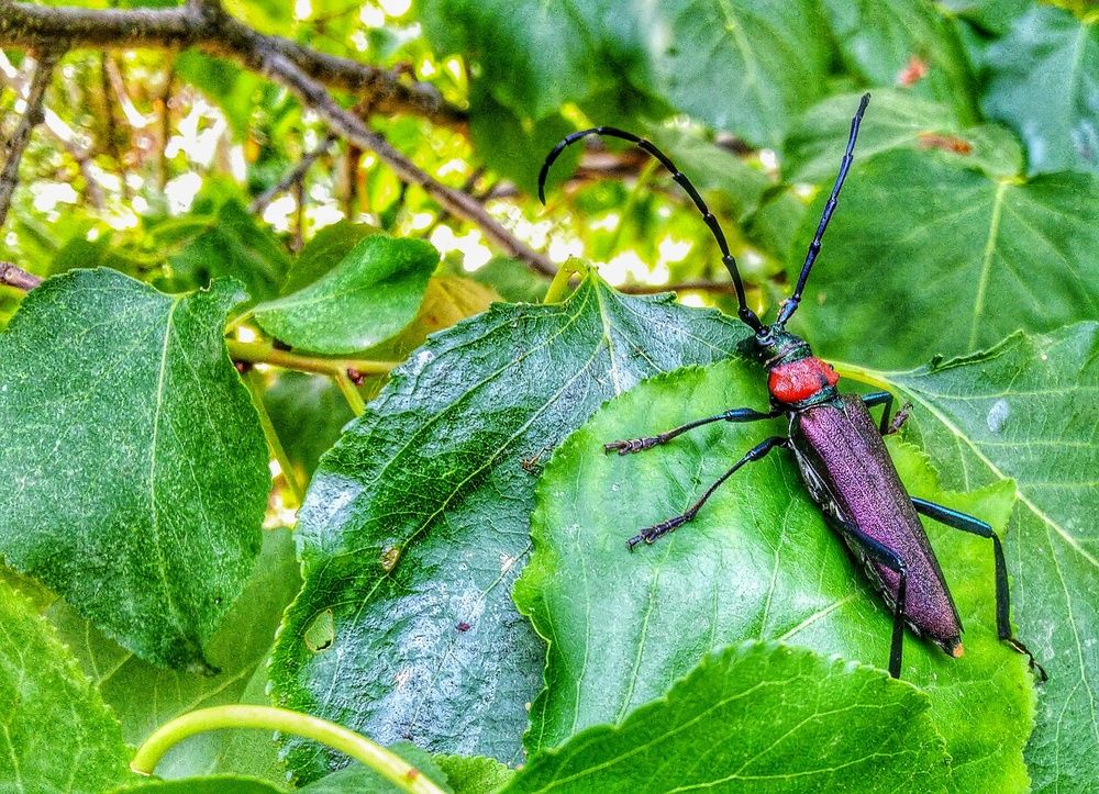 Photograph by Сергей Козлов