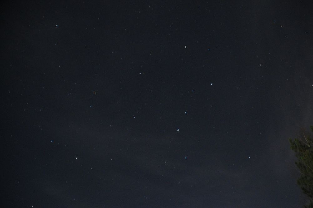 Большая медведица