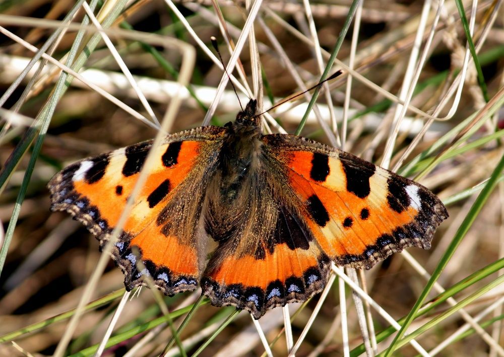 Photograph by Глеб Кузьминых