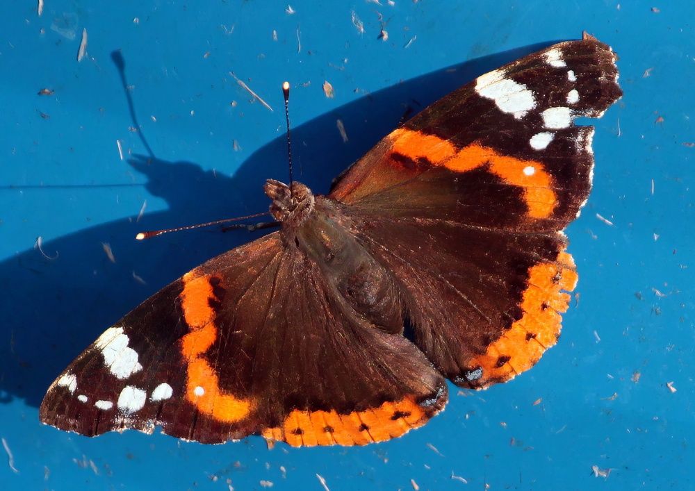 Photograph by Глеб Кузьминых