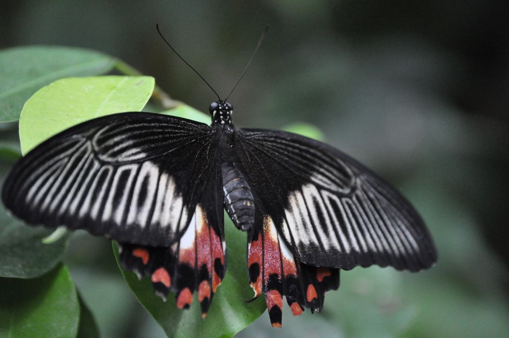 Photograph by Галина Лысых