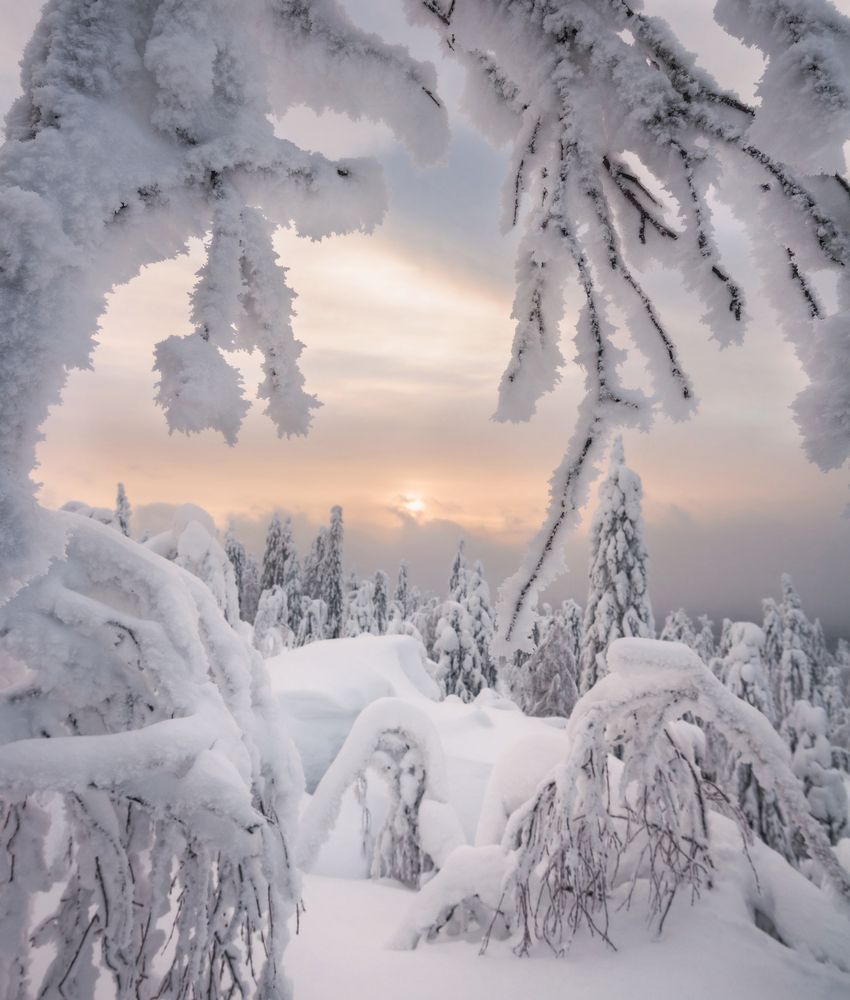 Photograph by Соколова Елена