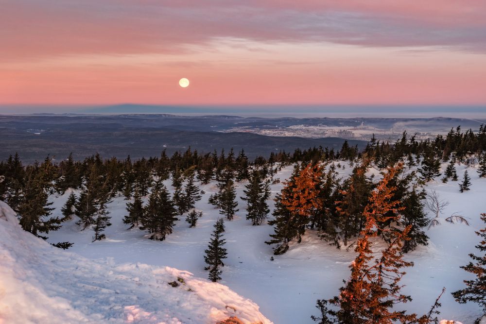 Photograph by Соколова Елена