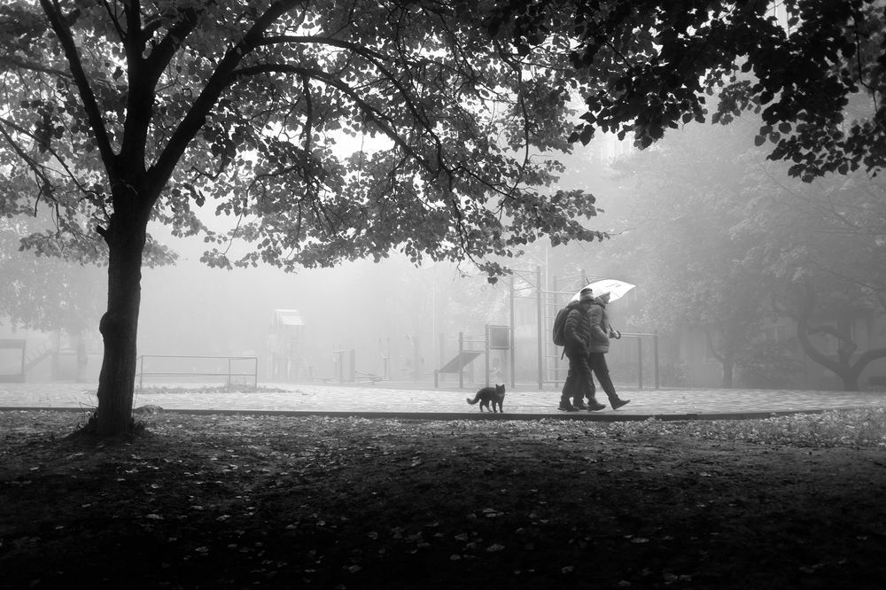 Photograph by Зорин Миша