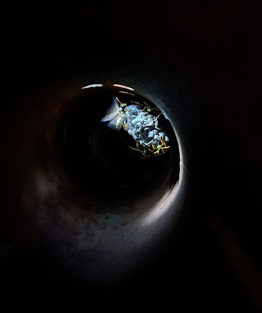 Photograph by Ольга Пумочка-13