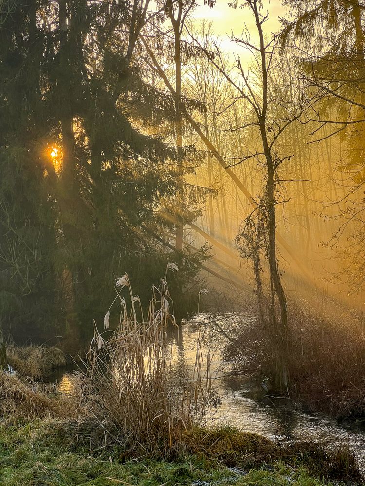 Photograph by Evgeniia Iusheva