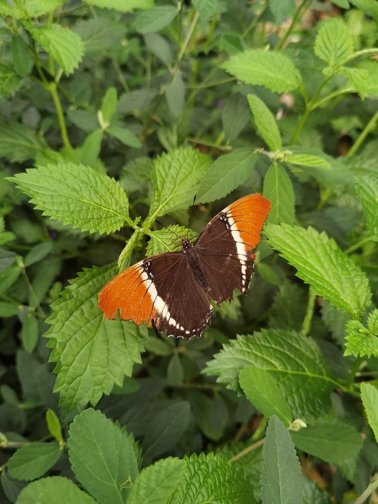 Фотография автора Victoria Vaigant