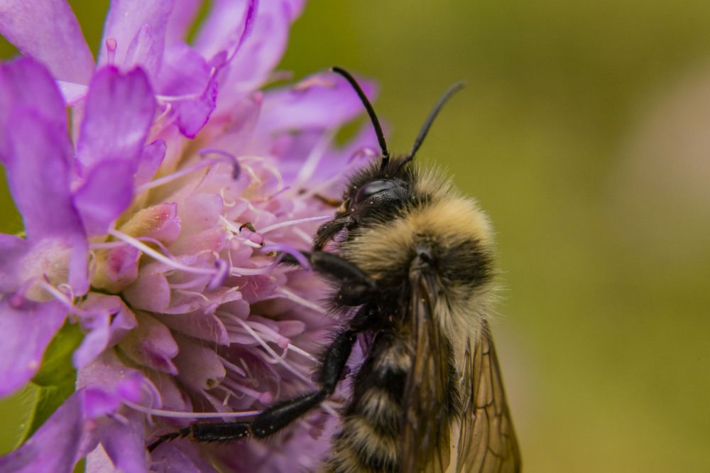 Photograph by Елена Перминова