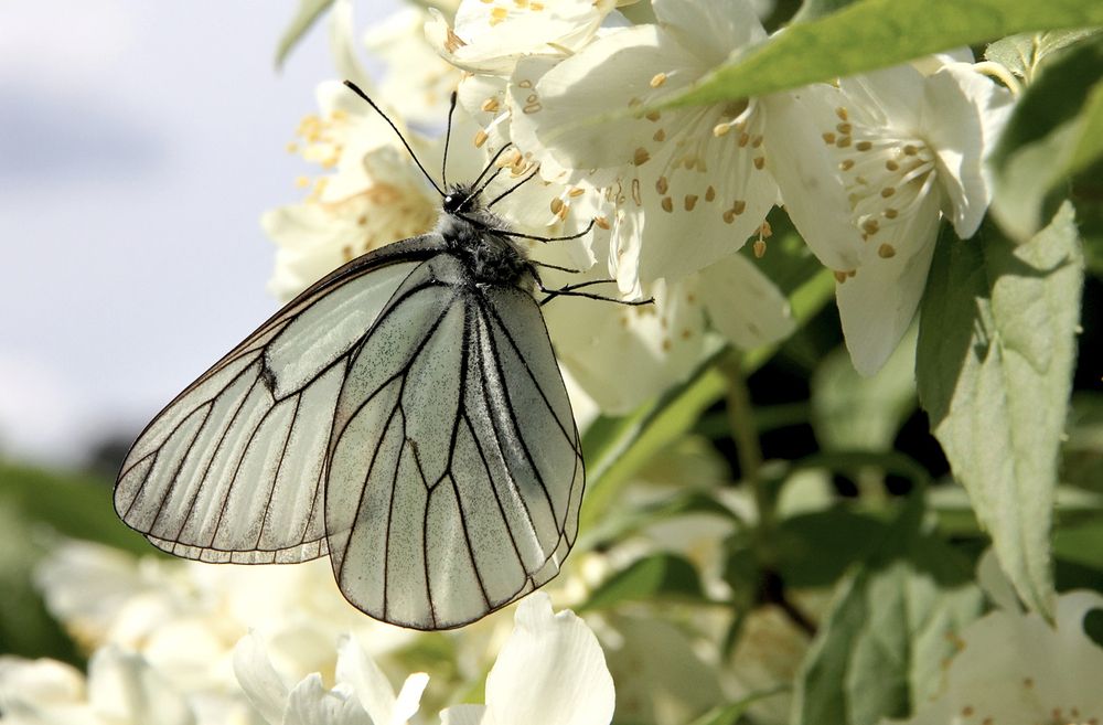 Photograph by Андрей Лукин